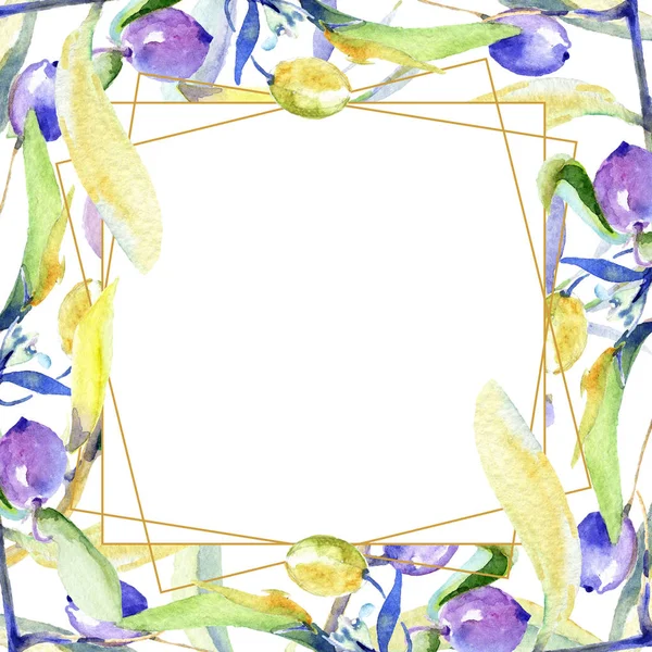 Olives Watercolor Background Illustration Set Frame Border Ornament Copy Space — Stock Photo, Image