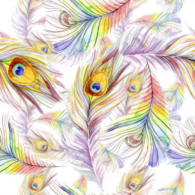 Renkli kuş tüyü izole Wing. Suluboya arka plan illüstrasyon küme. Suluboya çizim moda aquarelle izole. Sorunsuz arka plan deseni. Kumaş duvar kağıdı yazdırma doku.