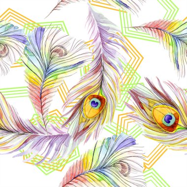 Renkli kuş tüyü izole Wing. Suluboya arka plan illüstrasyon küme. Suluboya çizim moda aquarelle izole. Sorunsuz arka plan deseni. Kumaş duvar kağıdı yazdırma doku.