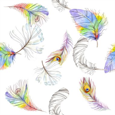 Renkli kuş tüyü izole Wing. Suluboya arka plan illüstrasyon küme. Suluboya çizim moda aquarelle izole. Sorunsuz arka plan deseni. Kumaş duvar kağıdı yazdırma doku.