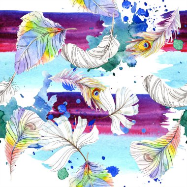 Renkli kuş tüyü izole Wing. Suluboya arka plan illüstrasyon küme. Suluboya çizim moda aquarelle izole. Sorunsuz arka plan deseni. Kumaş duvar kağıdı yazdırma doku.
