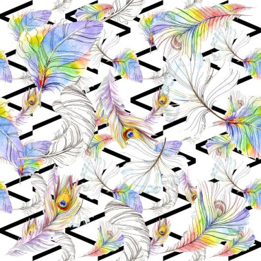 Renkli kuş tüyü izole Wing. Suluboya arka plan illüstrasyon küme. Suluboya çizim moda aquarelle izole. Sorunsuz arka plan deseni. Kumaş duvar kağıdı yazdırma doku.