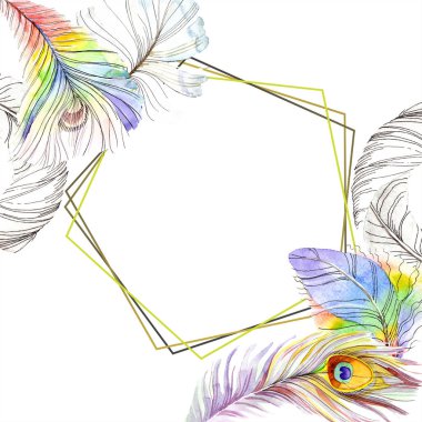 Renkli kuş tüyü izole Wing. Aquarelle tüy çerçeve veya kenarlık için. Suluboya arka plan illüstrasyon küme. Suluboya çizim moda aquarelle. Çerçeve kenarlığı süsleme Meydanı.