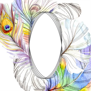 Renkli kuş tüyü izole Wing. Aquarelle tüy çerçeve veya kenarlık için. Suluboya arka plan illüstrasyon küme. Suluboya çizim moda aquarelle. Çerçeve kenarlığı süsleme Meydanı.
