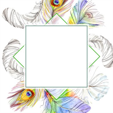 Renkli kuş tüyü izole Wing. Aquarelle tüy çerçeve veya kenarlık için. Suluboya arka plan illüstrasyon küme. Suluboya çizim moda aquarelle. Çerçeve kenarlığı süsleme Meydanı.