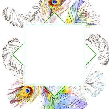 Colorful bird feather from wing isolated. Aquarelle feather for frame or border. Watercolor background illustration set. Watercolour drawing fashion aquarelle. Frame border ornament square. clipart