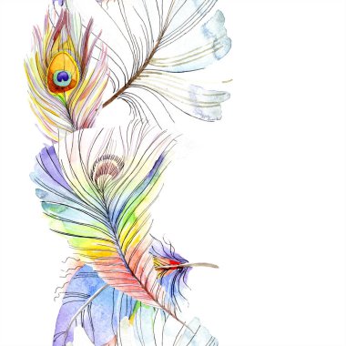 Renkli kuş tüyü izole Wing. Suluboya arka plan illüstrasyon küme. Suluboya çizim moda aquarelle izole. Sorunsuz arka plan deseni. Kumaş duvar kağıdı yazdırma doku.