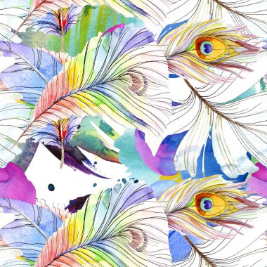 Renkli kuş tüyü izole Wing. Suluboya arka plan illüstrasyon küme. Suluboya çizim moda aquarelle izole. Sorunsuz arka plan deseni. Kumaş duvar kağıdı yazdırma doku.