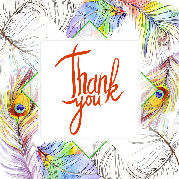 Colorful bird feather from wing isolated. Aquarelle feather for frame or border. Watercolor background illustration set. Watercolour drawing fashion aquarelle. Frame border ornament square.