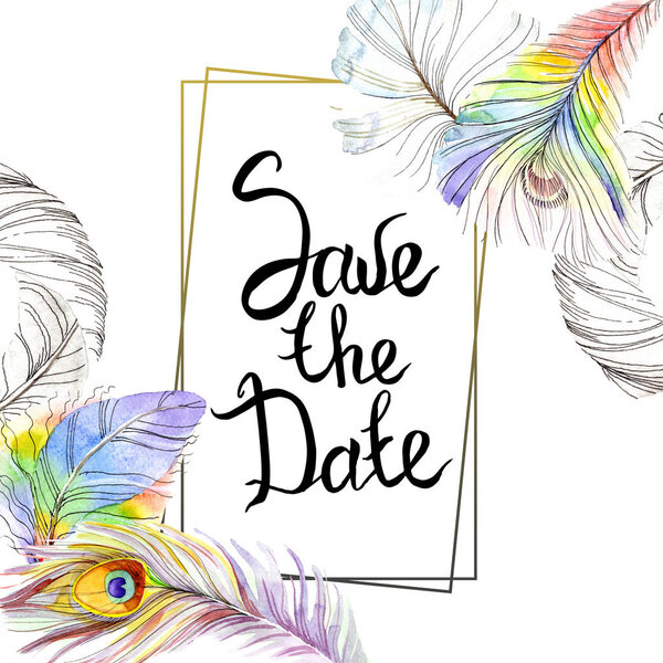 Красочное птичье перо из изолированного крыла. Перо Aquarelle для рамки или границы. Набор акварельных фонов. Акварель для рисования акварелью. Граничный орнамент
.