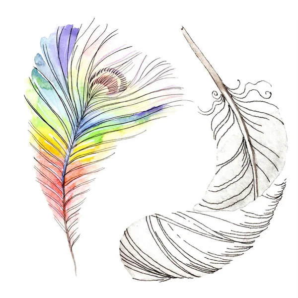 Kolorowy Ptak Pióro Skrzydła Białym Tle Aquarelle Pióro Dla Tła — Zdjęcie stockowe
