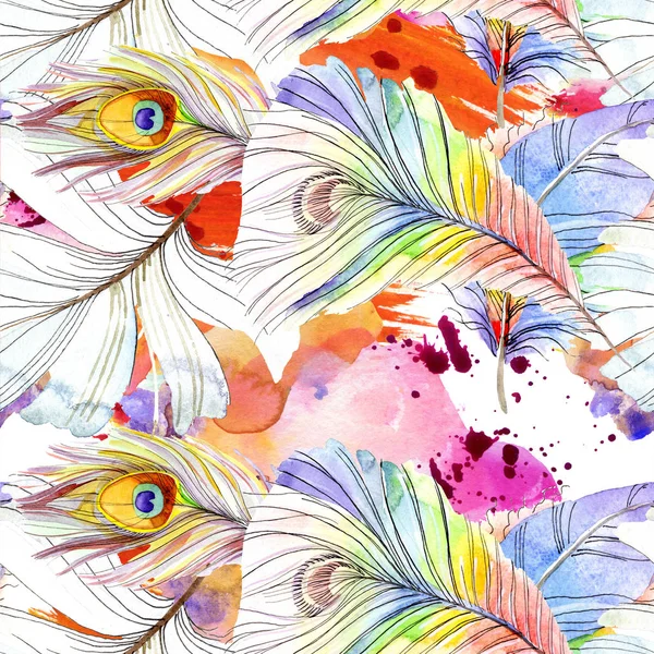 Renkli Kuş Tüyü Izole Wing Suluboya Arka Plan Illüstrasyon Küme — Stok fotoğraf