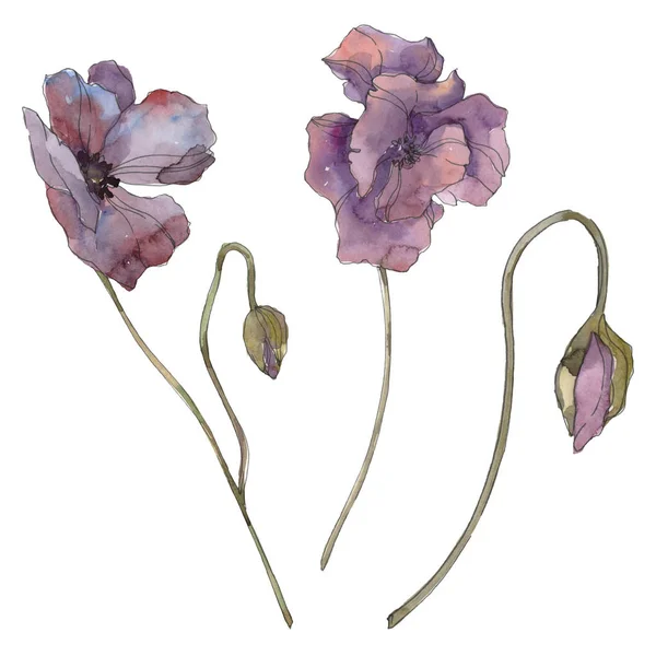 Wiosenne Kwiaty Stock Zdjecia Pobierz Royalty Free Obrazy