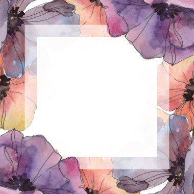 Kırmızı ve mor haşhaş botanik çiçek. Vahşi bahar yaprak izole. Suluboya arka plan illüstrasyon küme. Suluboya çizim moda aquarelle izole. Çerçeve kenarlığı süsleme Meydanı.