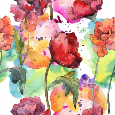 Kırmızı haşhaş botanik çiçek. Vahşi bahar yaprak. Suluboya resim kümesi. Suluboya çizim moda aquarelle izole. Sorunsuz arka plan deseni. Kumaş duvar kağıdı yazdırma doku.