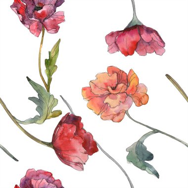 Kırmızı haşhaş botanik çiçek. Vahşi bahar yaprak. Suluboya resim kümesi. Suluboya çizim moda aquarelle izole. Sorunsuz arka plan deseni. Kumaş duvar kağıdı yazdırma doku.