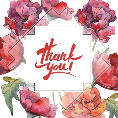 Kırmızı haşhaş botanik çiçek. Vahşi bahar yaprak izole kır çiçeği. Suluboya arka plan illüstrasyon küme. Suluboya çizim moda aquarelle izole. Çerçeve kenarlığı süsleme Meydanı.