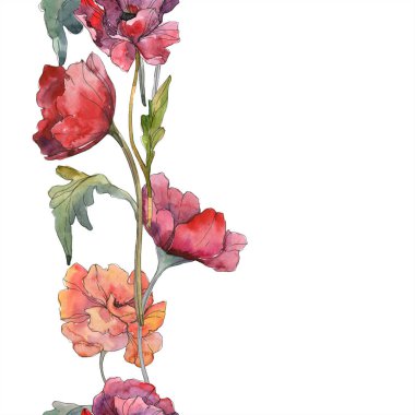 Kırmızı haşhaş botanik çiçek. Vahşi bahar yaprak. Suluboya resim kümesi. Suluboya çizim moda aquarelle izole. Sorunsuz arka plan deseni. Kumaş duvar kağıdı yazdırma doku.