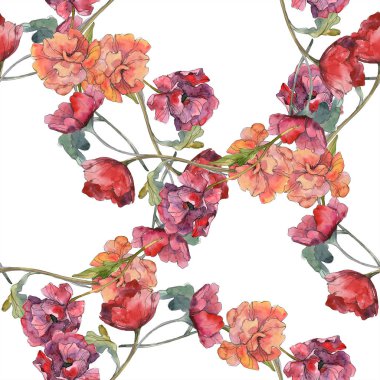 Kırmızı haşhaş botanik çiçek. Vahşi bahar yaprak. Suluboya resim kümesi. Suluboya çizim moda aquarelle izole. Sorunsuz arka plan deseni. Kumaş duvar kağıdı yazdırma doku.