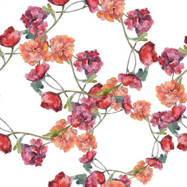 Kırmızı haşhaş botanik çiçek. Vahşi bahar yaprak. Suluboya resim kümesi. Suluboya çizim moda aquarelle izole. Sorunsuz arka plan deseni. Kumaş duvar kağıdı yazdırma doku.