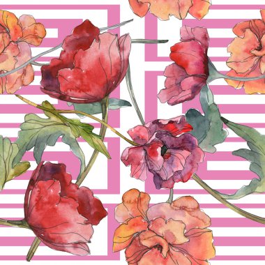 Kırmızı haşhaş botanik çiçek. Vahşi bahar yaprak. Suluboya resim kümesi. Suluboya çizim moda aquarelle izole. Sorunsuz arka plan deseni. Kumaş duvar kağıdı yazdırma doku.