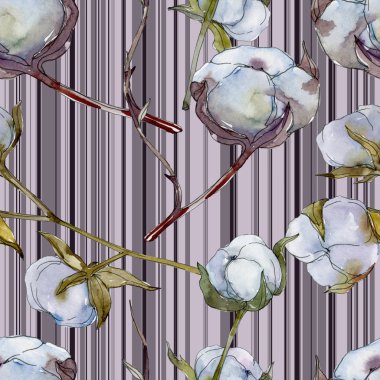 Beyaz pamuklu botanik çiçek. Vahşi bahar yaprak kır çiçeği. Suluboya resim kümesi. Suluboya çizim moda aquarelle izole. Sorunsuz arka plan deseni. Kumaş duvar kağıdı yazdırma doku.