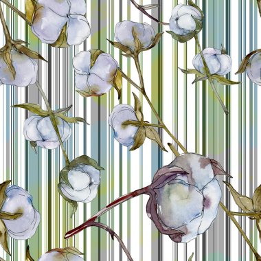 Beyaz pamuklu botanik çiçek. Vahşi bahar yaprak kır çiçeği. Suluboya resim kümesi. Suluboya çizim moda aquarelle izole. Sorunsuz arka plan deseni. Kumaş duvar kağıdı yazdırma doku.