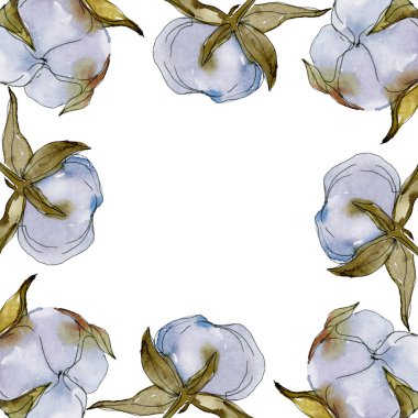 Beyaz pamuklu botanik çiçek. Vahşi bahar yaprak izole kır çiçeği. Suluboya arka plan illüstrasyon küme. Suluboya çizim moda aquarelle izole. Çerçeve kenarlığı süsleme Meydanı.