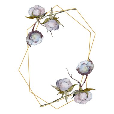 Beyaz pamuklu botanik çiçek. Vahşi bahar yaprak izole kır çiçeği. Suluboya arka plan illüstrasyon küme. Suluboya çizim moda aquarelle izole. Çerçeve kenarlığı süsleme Meydanı.