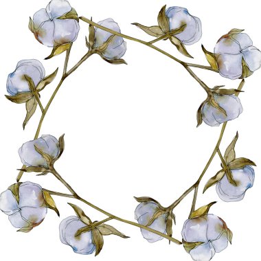 Beyaz pamuklu botanik çiçek. Vahşi bahar yaprak izole kır çiçeği. Suluboya arka plan illüstrasyon küme. Suluboya çizim moda aquarelle izole. Çerçeve kenarlığı süsleme Meydanı.