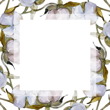 Beyaz pamuklu botanik çiçek. Vahşi bahar yaprak izole kır çiçeği. Suluboya arka plan illüstrasyon küme. Suluboya çizim moda aquarelle izole. Çerçeve kenarlığı süsleme Meydanı.