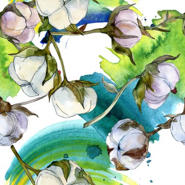 Pamuk botanik çiçek. Vahşi bahar yaprak kır çiçeği. Suluboya resim kümesi. Suluboya çizim moda aquarelle izole. Sorunsuz arka plan deseni. Kumaş duvar kağıdı yazdırma doku.