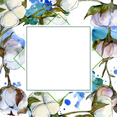 Pamuk botanik çiçek. Vahşi bahar yaprak izole kır çiçeği. Suluboya arka plan illüstrasyon küme. Suluboya çizim moda aquarelle izole. Çerçeve kenarlığı süsleme Meydanı.