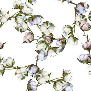 Pamuk botanik çiçek. Vahşi bahar yaprak kır çiçeği. Suluboya resim kümesi. Suluboya çizim moda aquarelle izole. Sorunsuz arka plan deseni. Kumaş duvar kağıdı yazdırma doku.