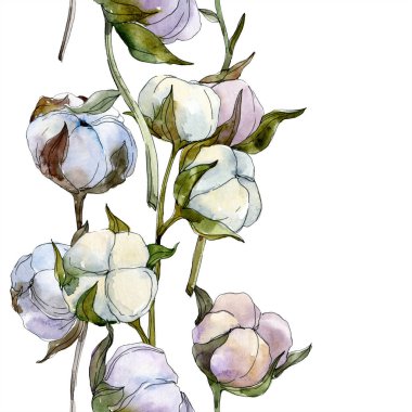 Pamuk botanik çiçek. Vahşi bahar yaprak kır çiçeği. Suluboya resim kümesi. Suluboya çizim moda aquarelle izole. Sorunsuz arka plan deseni. Kumaş duvar kağıdı yazdırma doku.