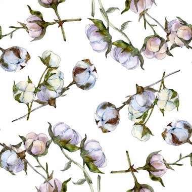 Pamuk botanik çiçek. Vahşi bahar yaprak kır çiçeği. Suluboya resim kümesi. Suluboya çizim moda aquarelle izole. Sorunsuz arka plan deseni. Kumaş duvar kağıdı yazdırma doku.