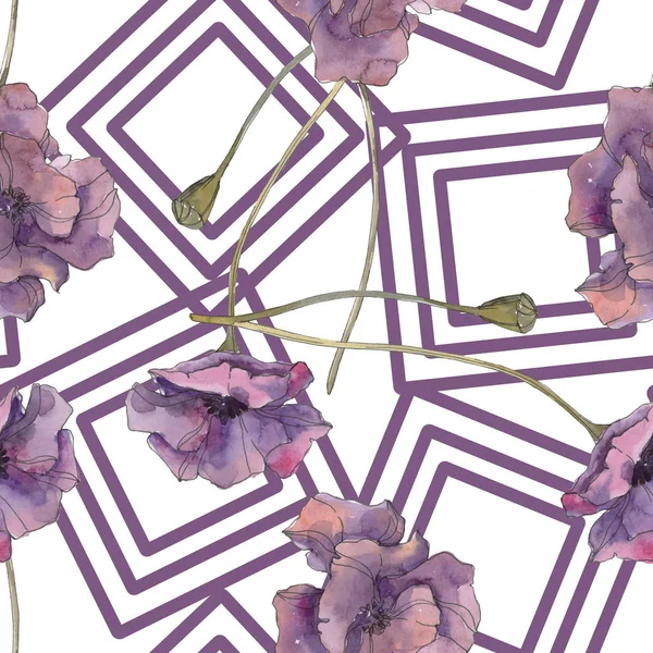 Красный Фиолетовый Цветочный Ботанический Цветок Мака Дикий Весенний Лист Изолирован — стоковое фото