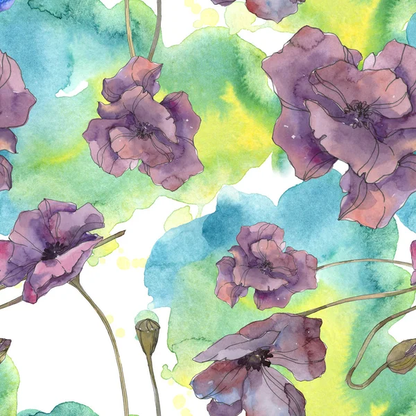 Rote Und Violette Blumen Botanischer Mohnblume Wilde Federblattes Isoliert Aquarell — Stockfoto
