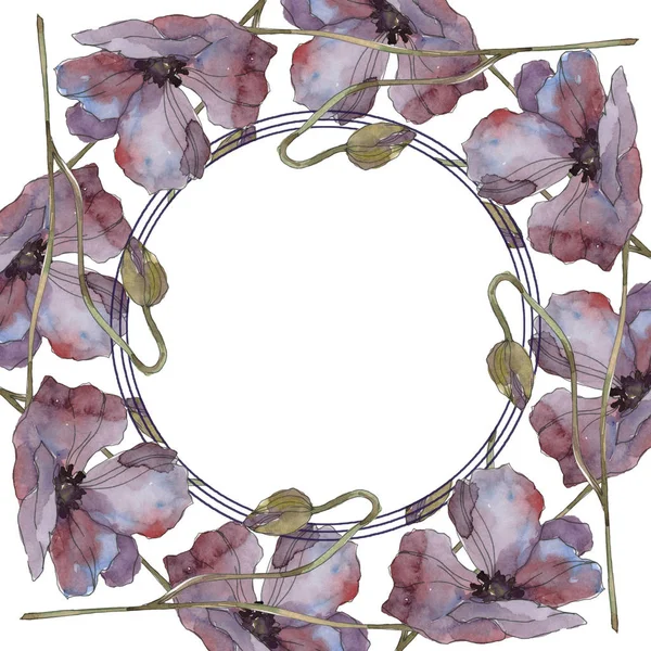 赤と紫ケシ花植物の花 野生春葉が分離されました 水彩画背景イラスト セット 水彩描画のファッション Aquarelle 分離します フレーム枠飾りスクエア — ストック写真