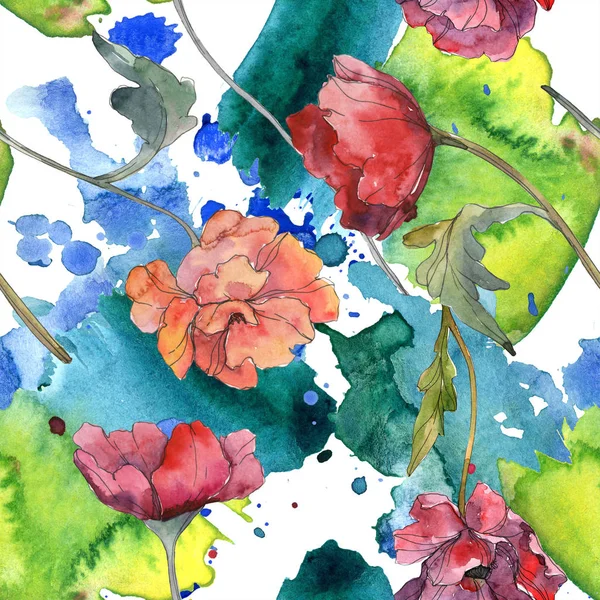 Botanische Blume Des Roten Mohns Wildes Frühlingsblatt Aquarell Illustrationsset Vorhanden — Stockfoto