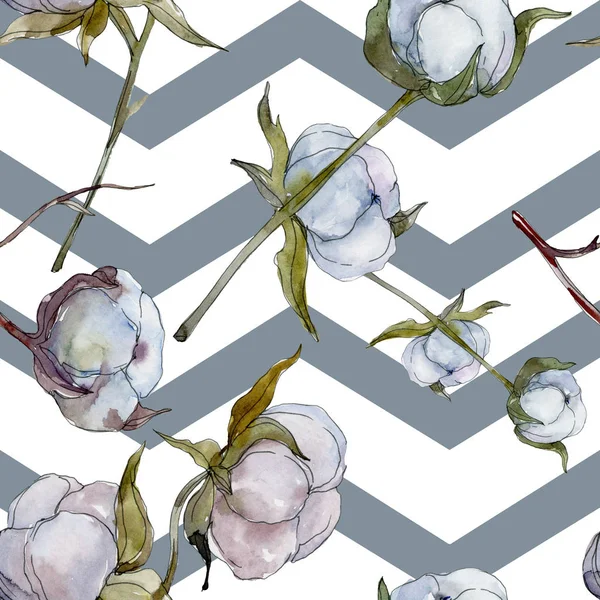 Белый Хлопковый Ботанический Цветок Дикий Весенний Цветок Набор Акварельных Рисунков — стоковое фото