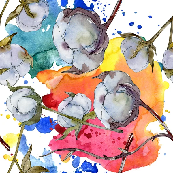Белый Хлопковый Ботанический Цветок Дикий Весенний Цветок Набор Акварельных Рисунков — стоковое фото