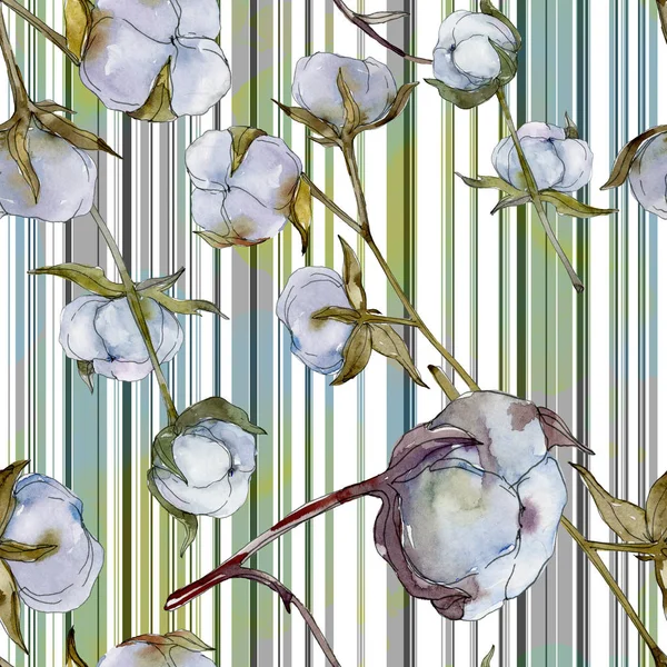 White Cotton Botanical Flower Wild Spring Leaf Wildflower Watercolor Illustration — Stock Photo, Image
