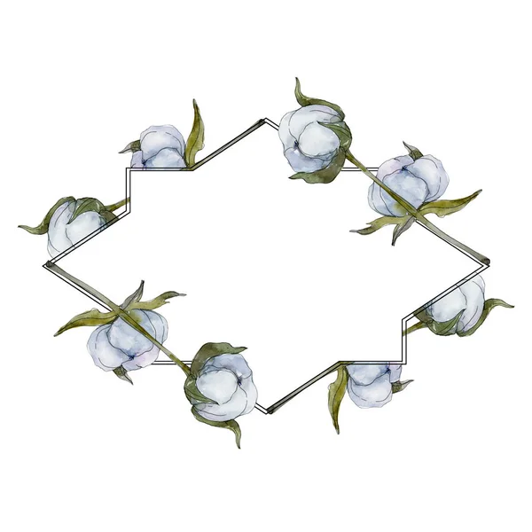 Botanische Blume Aus Weißer Baumwolle Wildes Frühlingsblatt Wildblume Isoliert Aquarell — Stockfoto