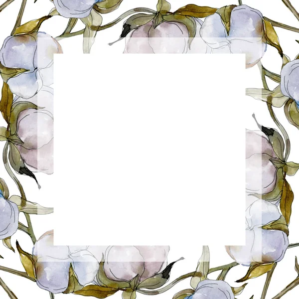 Witte Katoenen Bloemen Botanische Bloem Wild Voorjaar Blad Wildflower Geïsoleerd — Stockfoto