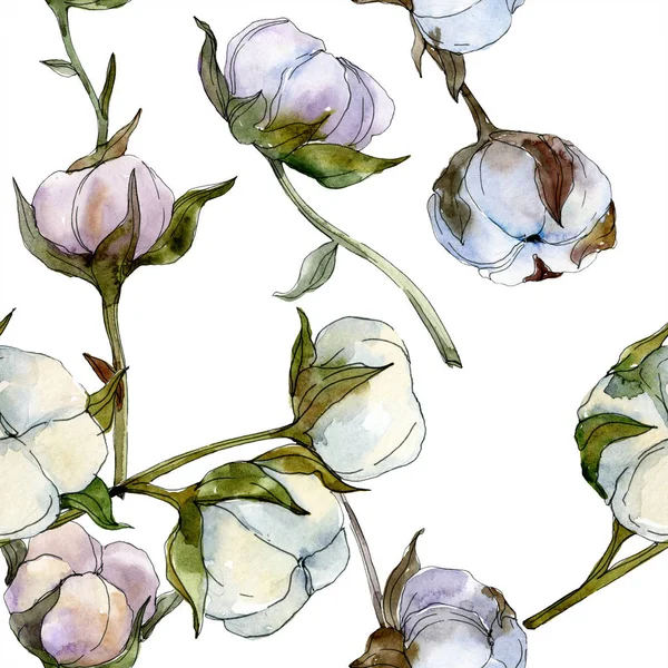 Cotton Floral Botanical Flower Wild Spring Leaf Wildflower Watercolor Illustration — Stock Photo, Image