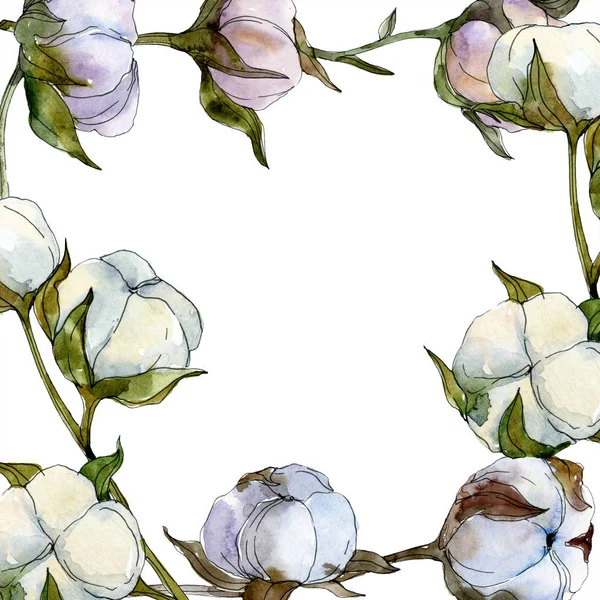 Cotton Floral Botanical Flower Wild Spring Leaf Wildflower Isolated Watercolor — Stock Photo, Image