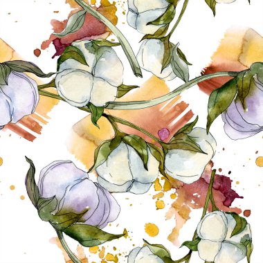 Pamuk botanik çiçek. Vahşi bahar yaprak kır çiçeği. Suluboya resim kümesi. Suluboya çizim moda aquarelle izole. Sorunsuz arka plan deseni. Kumaş duvar kağıdı yazdırma doku.