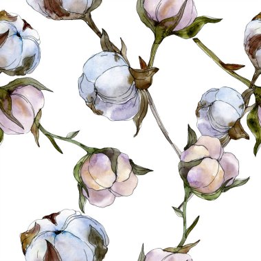 Pamuk botanik çiçek. Vahşi bahar yaprak kır çiçeği. Suluboya resim kümesi. Suluboya çizim moda aquarelle izole. Sorunsuz arka plan deseni. Kumaş duvar kağıdı yazdırma doku.
