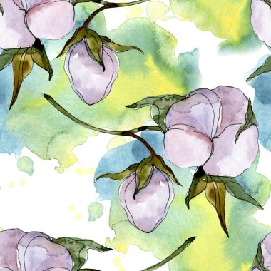 Pamuk çiçek. Suluboya arka plan illüstrasyon küme. Sorunsuz arka plan deseni. 